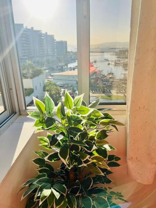 The Rock Retreat - Gibraltar 아파트 외부 사진